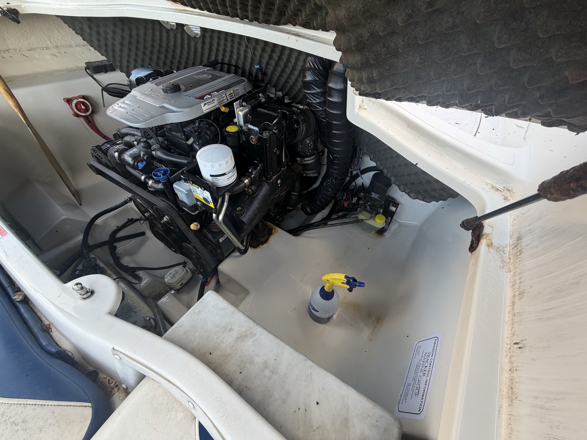 Engine bay after cleaning