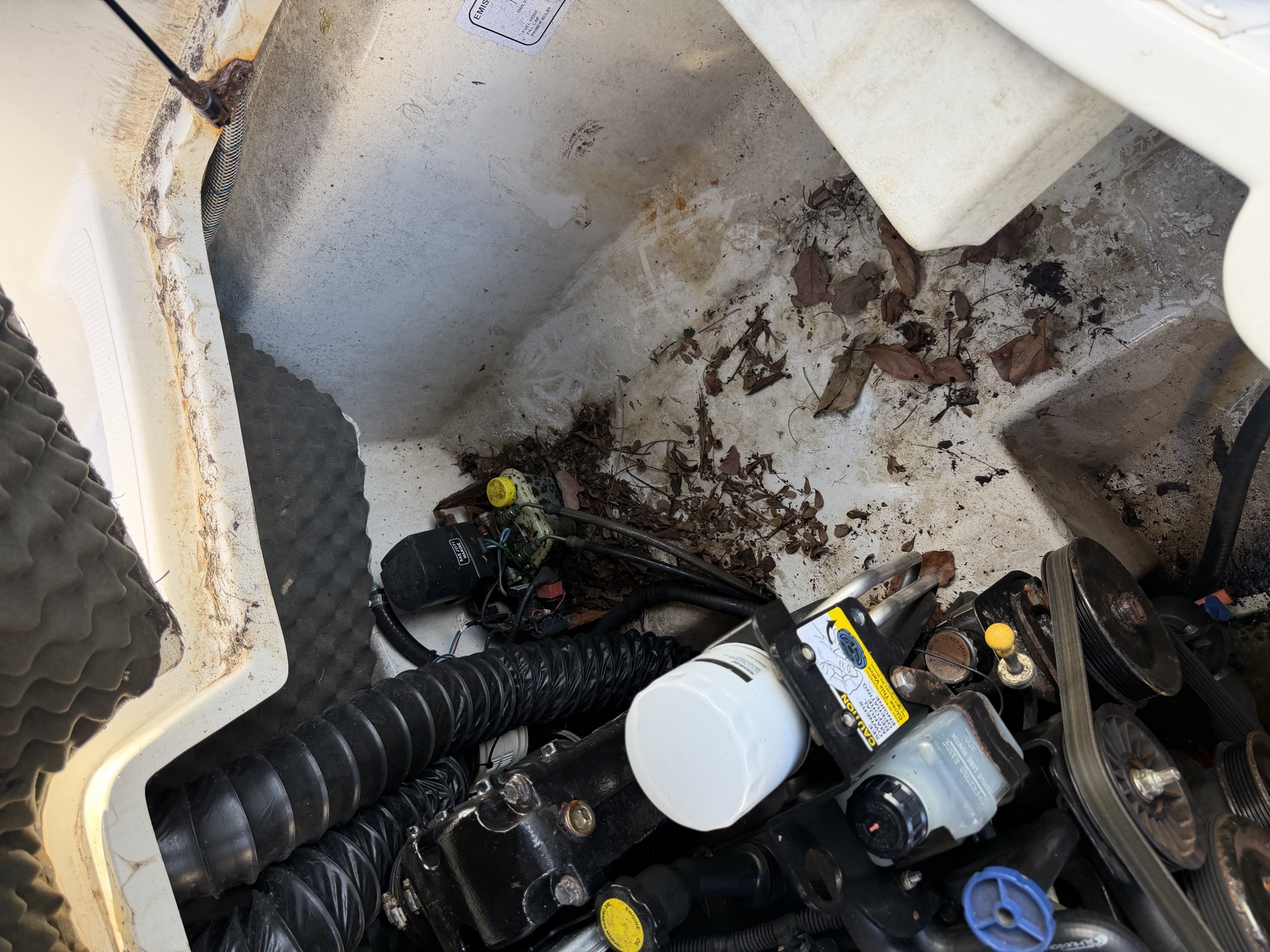 Engine bay before cleaning